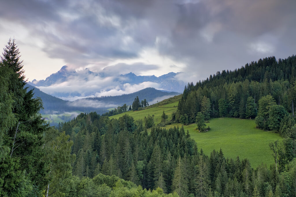 Bergpanorama Forstau
