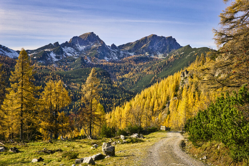 Fageralm Forstau